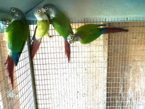 IMG_20210417_1020422