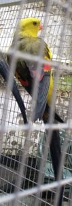 IMG_20210417_1020422