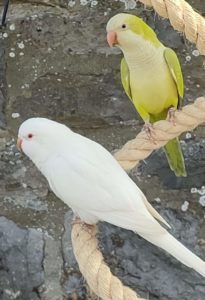 FB_IMG_1653401632273